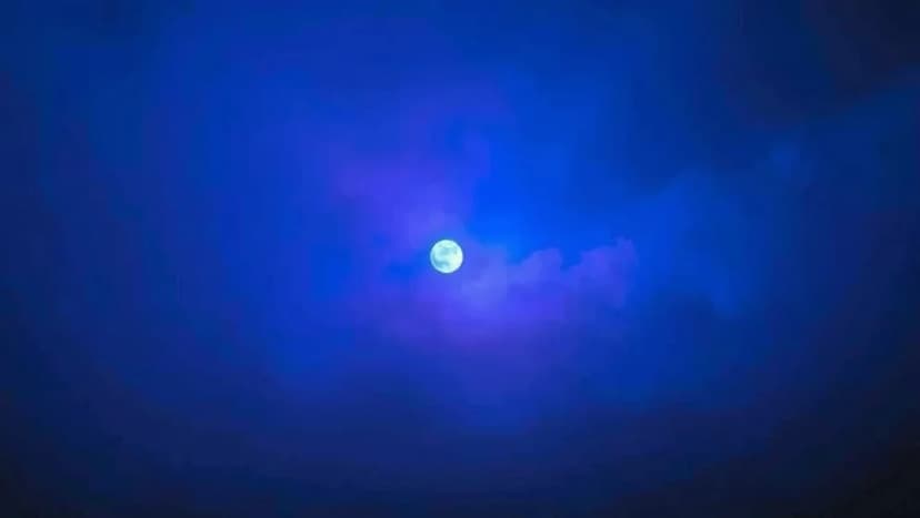 Vad handlar filmen Cirkeln om